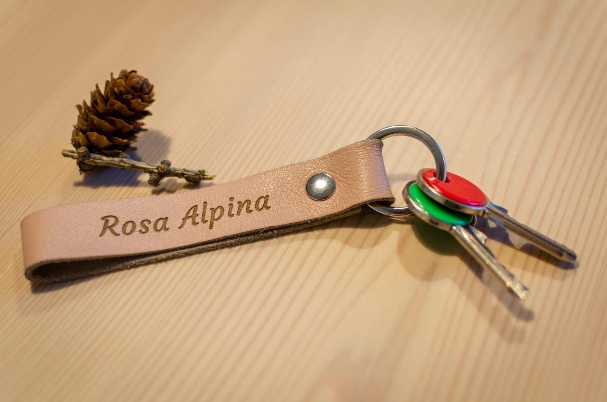 Rosa Alpina - Appartamento Nelle Dolomiti Dobbiaco Exterior photo